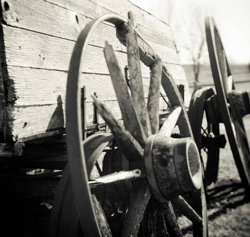 Unauth title TyASgeGJ